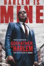 Watch Godfather of Harlem 9Movies