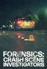 Watch Forensics: Crash Scene Investigators 9Movies