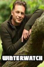 Watch Winterwatch 9Movies