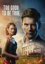 Watch Too Good to Be True 9Movies
