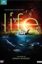 Watch Life 9Movies