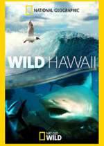 Watch Wild Hawaii 9Movies
