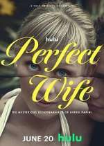 Watch Perfect Wife: The Mysterious Disappearance of Sherri Papini 9Movies
