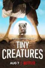 Watch Tiny Creatures 9Movies