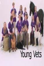 Watch Young Vets 9Movies