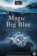 Watch The Magic of the Big Blue 9Movies