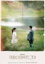 Watch Met You By Chance 9Movies