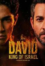 Watch David: King of Israel 9Movies