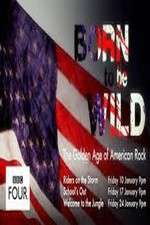 Watch Born to Be Wild: The Golden Age of American Rock 9Movies