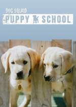 Watch Dog Squad: Puppy School 9Movies