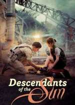 Watch Descendants of the Sun 9Movies
