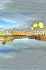 Watch Autumnwatch 9Movies
