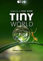 Watch Tiny World 9Movies