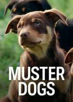 Watch Muster Dogs 9Movies