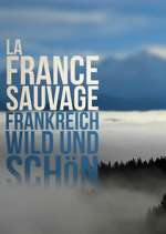Watch Wild France 9Movies
