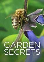 Watch Garden Secrets 9Movies
