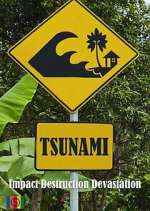 Watch Tsunami 9Movies
