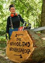Watch The Woodland Workshop 9Movies