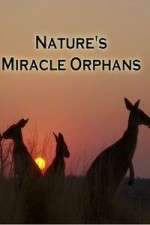 Watch Nature's Miracle Orphans 9Movies