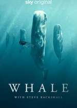 Watch Whale with Steve Backshall 9Movies