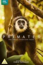 Watch Primates 9Movies