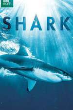 Watch Shark 9Movies