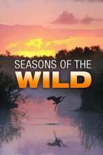 Watch Seasons of the Wild 9Movies