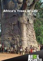 Watch Africa's Trees of Life 9Movies
