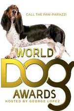 Watch The World Dog Awards 9Movies
