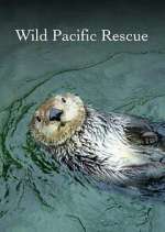 Watch Wild Pacific Rescue 9Movies