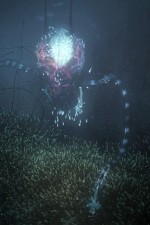 Watch Into the Universe with Stephen Hawking 9Movies