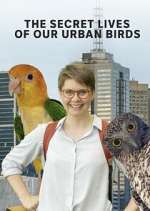 Watch The Secret Lives of Our Urban Birds 9Movies