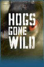 Watch Hogs Gone Wild 9Movies