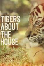 Watch Tigers About the House 9Movies