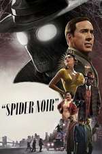 Watch Spider-Noir 9Movies