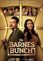 Watch The Barnes Bunch 9Movies
