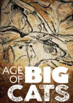 Watch Age of Big Cats 9Movies