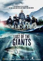 Watch Last of the Giants: Wild Fish 9Movies