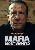 Watch Mafia: Most Wanted 9Movies