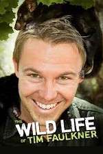 Watch The Wild Life of Tim Faulkner 9Movies