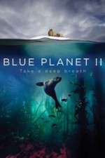 Watch Blue Planet II 9Movies