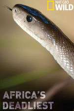 Watch Africas Deadliest 9Movies
