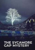 Watch The Sycamore Gap Tree Mystery 9Movies