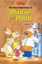 Watch The New Adventures of Winnie the Pooh 9Movies