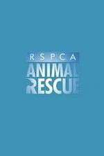 Watch RSPCA Animal Rescue 9Movies