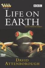 Watch Life on Earth 9Movies