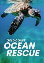 Watch Gold Coast Ocean Rescue 9Movies