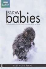 Watch Snow Babies 9Movies