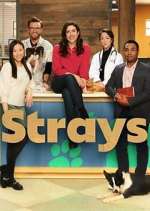Watch Strays 9Movies