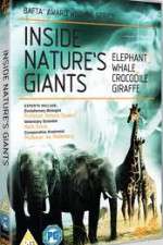 Watch Inside Nature's Giants 9Movies